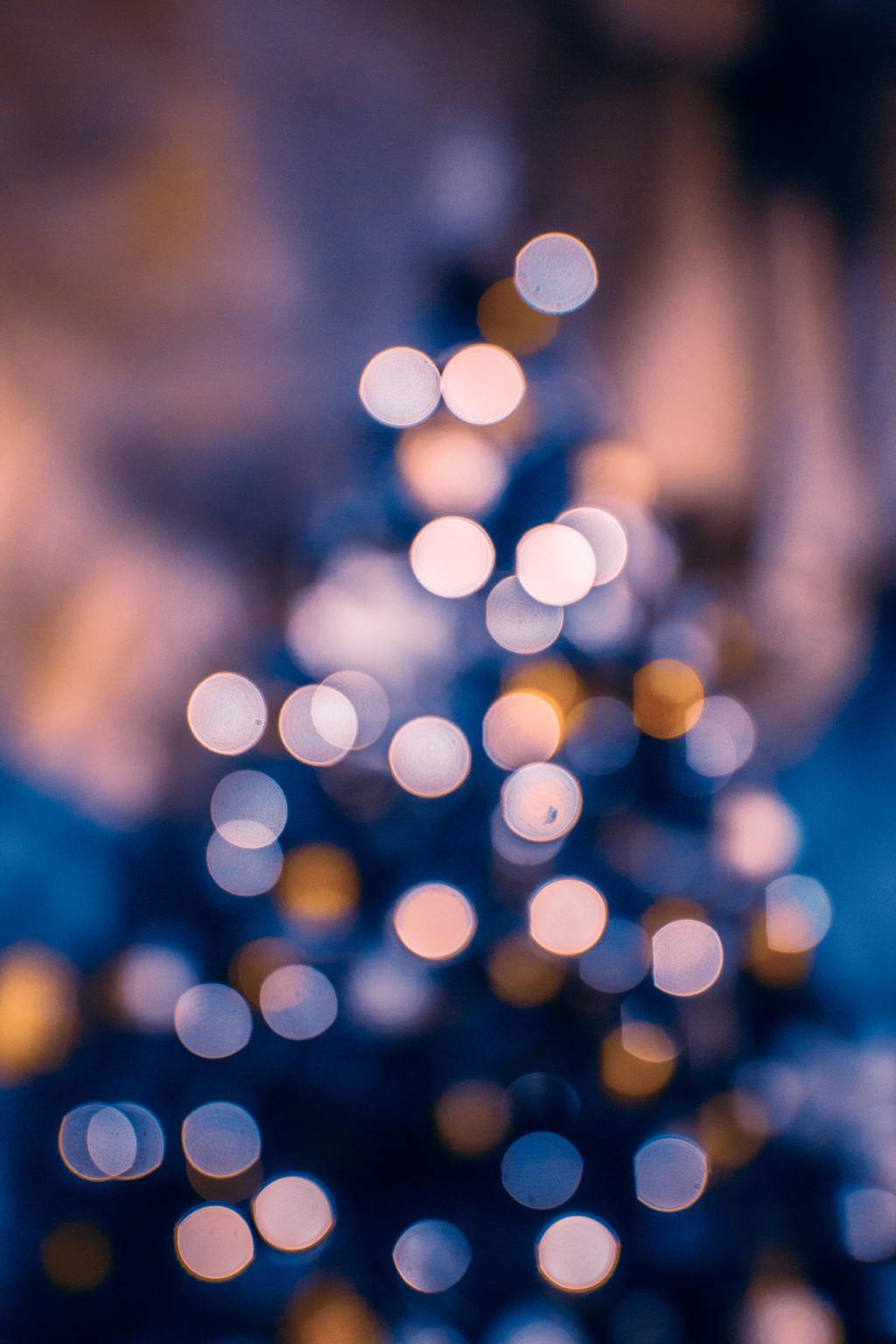 dashing through december